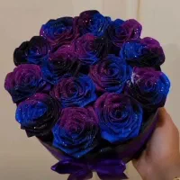 گل رز روبانی