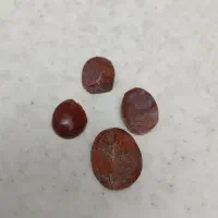 سرگرمی وفراغت|کلکسیون اشیاء عتیقه|اردبیل, |دیوار