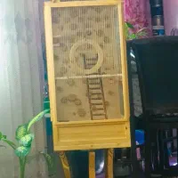 قفس چوبی|لوازم جانبی حیوانات|ابهر, |دیوار