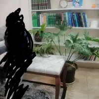 شلف یا کتاب خونه