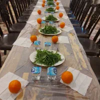 کربلا 15 آبان ماه|تور و چارتر|شیراز, نیستان|دیوار