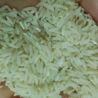برنج طارم هاشمی اصل