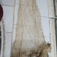 تور ماهیگیری