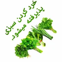 خرد کردن انواع سبزی