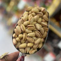 فروش آجیل ،خشکبار و حبوبات روژین|خوردنی و آشامیدنی|شیراز, شهرک والفجر|دیوار
