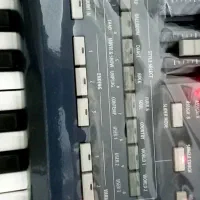 pa 800 کورگ|پیانو، کیبورد، آکاردئون|مشهد, سجاد شهر|دیوار