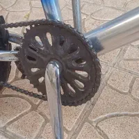 دوچرخه ماکسیما حرفه ای سایز ۲۰|دوچرخه، اسکیت، اسکوتر|قرچک, زیبا شهر|دیوار