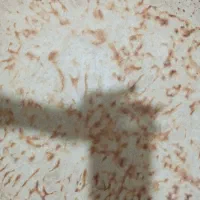 نیازمندخانم کار درمنزل