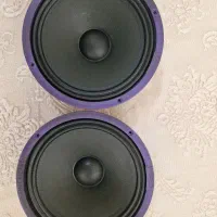 باند خربزه ای ومیدرنج