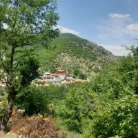 فروش فوری زمین در جماالدین کلا|فروش زمین و ملک کلنگی|کیاسر, |دیوار