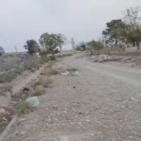 زمین مناسب سوله یا گلخانه|فروش زمین و ملک کلنگی|پاکدشت, پاکدشت (مامازند)|دیوار