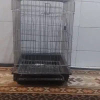 قفس عروس  هلندی