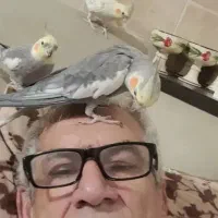 واگذاری پرنده شما را قبول میکنم