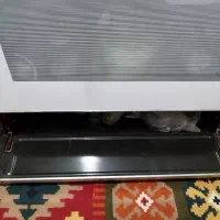 گاز پنج شعله فردار|اجاق گاز و لوازم برقی پخت‌وپز|هشتگرد, شهرک ایران خودرو|دیوار