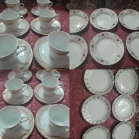 ظروف پذیرایی