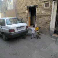 گم شده ،به شماره پلاک ۲۴ط۵۸۳ایران ۱۸|اشیا|همدان, |دیوار