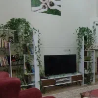 میز تلویزیون و کتابخانه