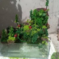 اکواریوم صخره ای