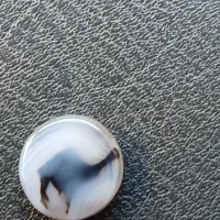 سنگ شجر قاعنات