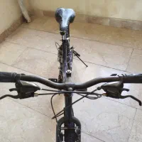 دوچرخه ۲۶ الگانس|دوچرخه، اسکیت، اسکوتر|پرند, فاز ۶|دیوار