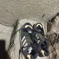 دو جفت کفش|کیف، کفش، کمربند|کرمانشاه, |دیوار