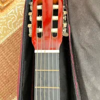 گیتار آکبند|گیتار، بیس، امپلیفایر|مراغه, |دیوار