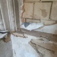 یال الماسی