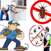 سمپاشی تضمینی انواع حشرات وسوسک.باقیمت کاملا مناسب