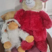 عروسک پولیشی سالم . نو