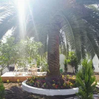 اجاره استخردار حرفه ای ۴خواب  تریبلکس  لوکس|اجارهٔ کوتاه‌مدت ویلا و باغ|قائم‌شهر, |دیوار