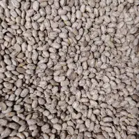 چیتی ارتشی عمده (بالای 20 کیلو)