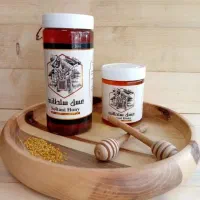 فروش عمده انواع محصولات زنبورعسل درمانی|خوردنی و آشامیدنی|مشهد, هنرور|دیوار