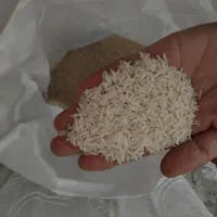 برنج هاشمی و صدری تضمینی به شرط|خوردنی و آشامیدنی|کوچصفهان, |دیوار