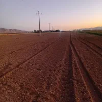 اجاره زمین کشاورزی|اجارهٔ دفتر صنعتی، کشاورزی، تجاری|چهاردولی, |دیوار