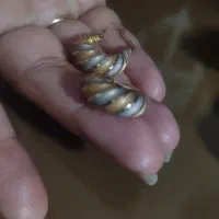 فروش النگو انگشترپلاکوگوشوتره