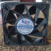 فن ماینر