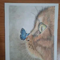 تابلو گربه