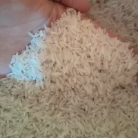 برنج پاکستانی باسمتی