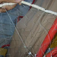 تور سالیک(پرتابی)