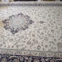 فرش 12 متری درجه یک|فرش|اصفهان, کوی میلاد|دیوار