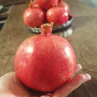 انار ممتاز|خوردنی و آشامیدنی|قم, بنیاد|دیوار
