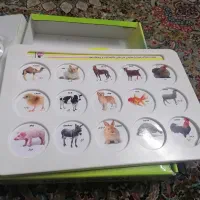 اسباب بازی هوش چین