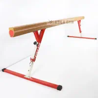 دستگاه قهرمانی ژیمناستیک دختران