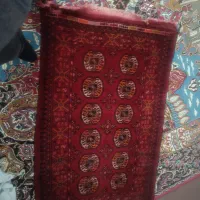 قالیچه دستباف قدیمی|فرش|شیروان (خراسان), |دیوار