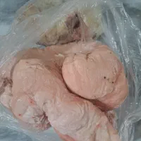 دنبه بره