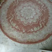 پادری|پادری|سنندج, |دیوار