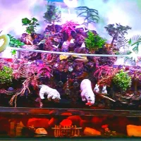 پالاداریوم