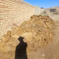 کود گوسفندی|لوازم جانبی حیوانات|پاسارگاد, |دیوار