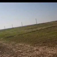 اجاره ۴۸ هکتار زمین کشاورزی شعیبیه شوشتر|اجارهٔ دفتر صنعتی، کشاورزی، تجاری|دزفول, |دیوار