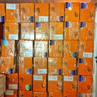 کولر گازی جنرال شکار ۳۰۰۰۰ ( موتور سنگین )